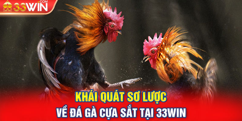 Khái quát sơ lược về đá gà cựa sắt tại 33Win